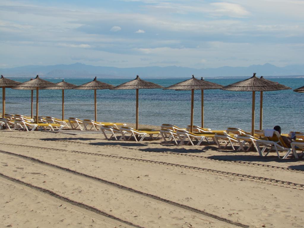 Apartament Pinada Beach La Mata  Rum bild